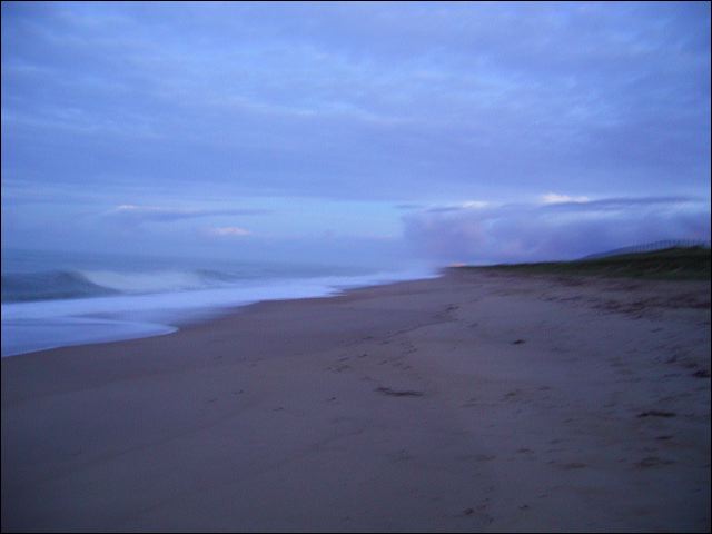 rimg0074.jpg