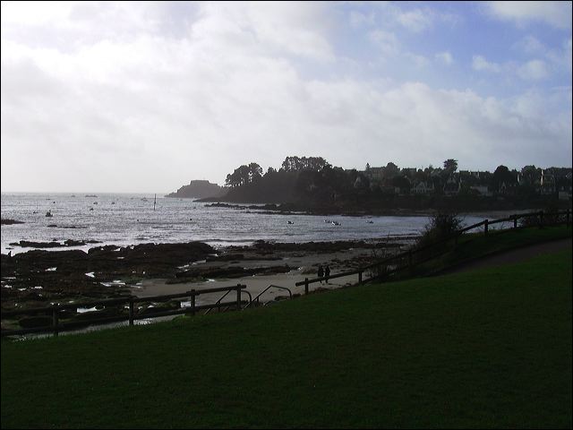 rimg0110.jpg