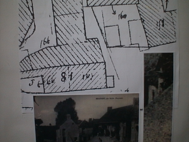 AUT15995.JPG