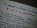 AUT15966.jpg